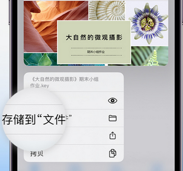 岳普湖apple维修中心分享iPhone文件应用中存储和找到下载文件