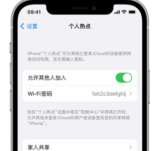 岳普湖apple服务站点分享iPhone上个人热点丢失了怎么办