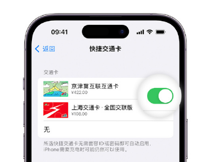 岳普湖apple维修点分享iPhone上更换Apple Pay快捷交通卡手绘卡面 