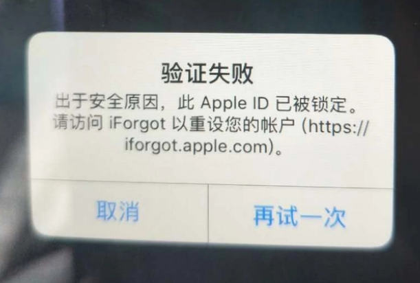 岳普湖iPhone维修分享iPhone上正常登录或使用AppleID怎么办 