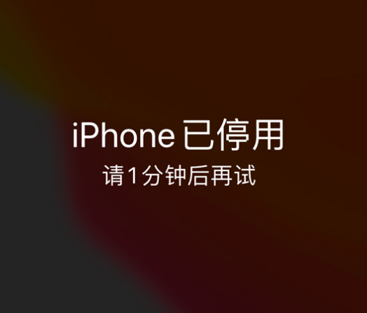 岳普湖苹果手机维修分享:iPhone 显示“不可用”或“已停用”怎么办？还能保留数据吗？ 