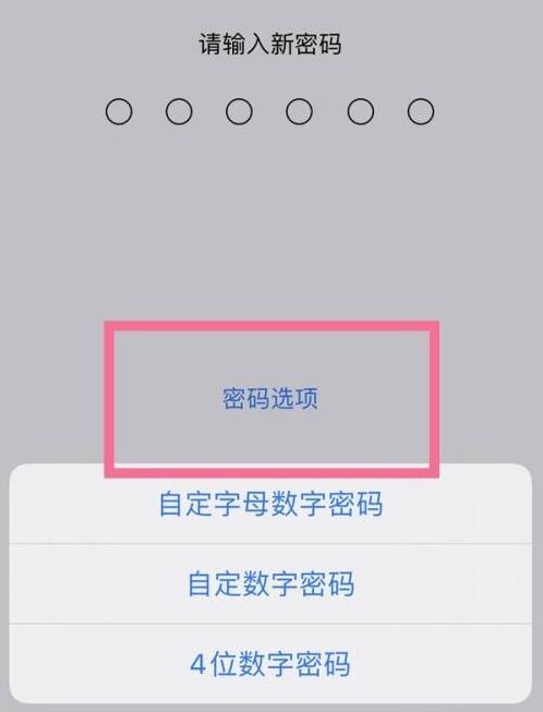 岳普湖苹果14维修分享iPhone 14plus设置密码的方法 