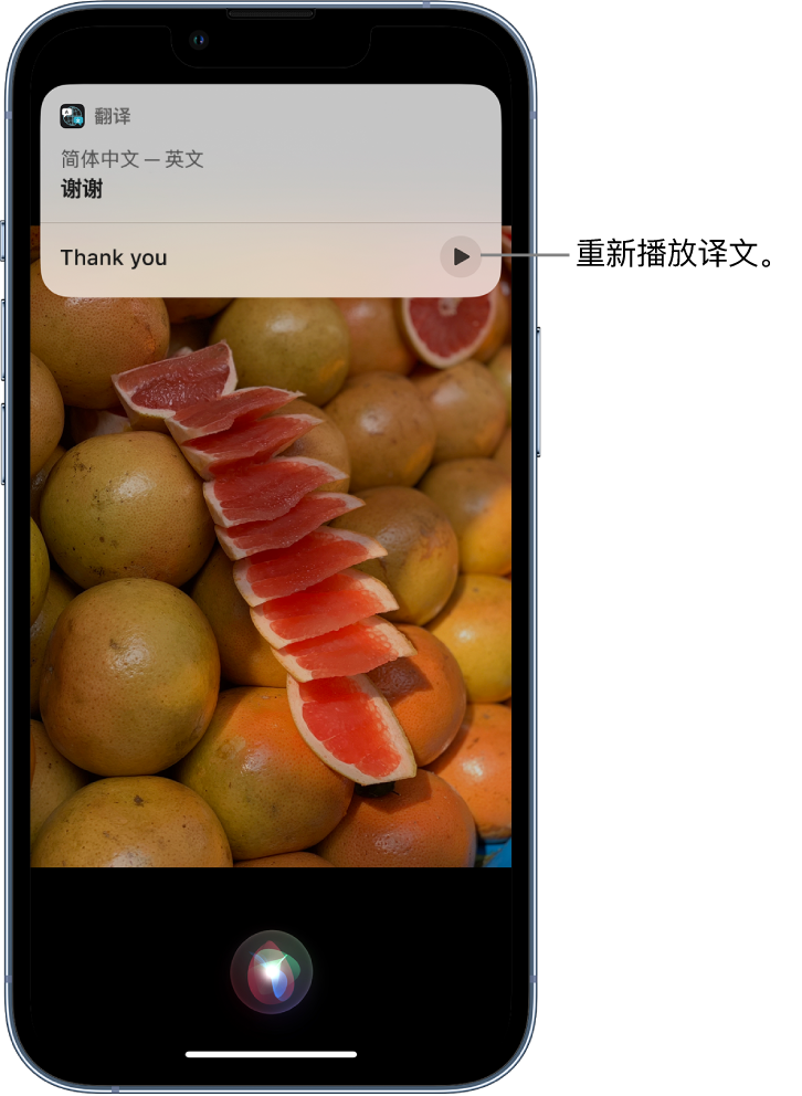 岳普湖苹果14维修分享 iPhone 14 机型中使用 Siri：了解 Siri 能帮你做什么 