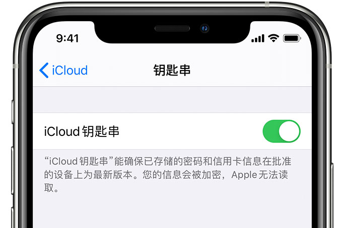 岳普湖苹果手机维修分享在 iPhone 上开启 iCloud 钥匙串之后会储存哪些信息 