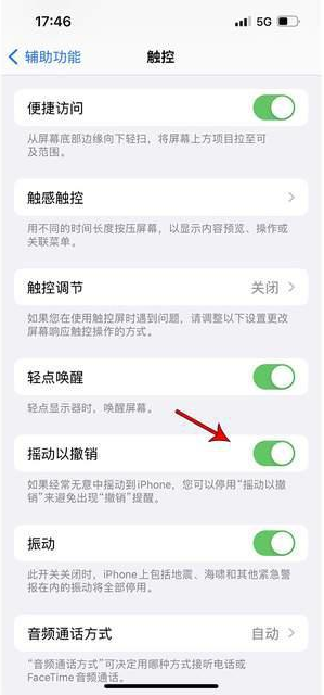 岳普湖苹果手机维修分享iPhone手机如何设置摇一摇删除文字 